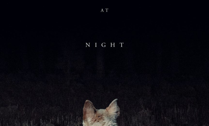 Poster for the movie "It Comes at Night"