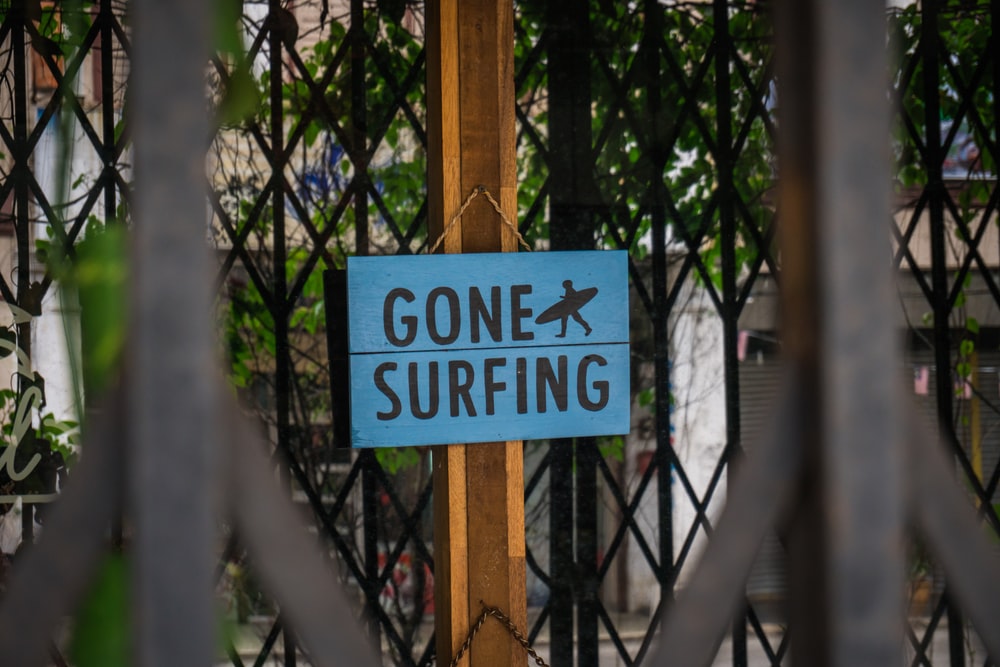 Gone Surfing