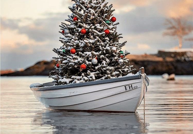 Christmas Boat 1